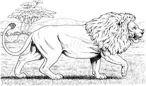 They are a good way for kids to develop their habit of coloring. Lion Coloring Pages Clipart And Other Free Printable Design Themes
