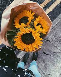 Tita On Twitter Flower Aesthetic Love Flowers Sunflower Wallpaper