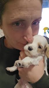 Megan Keller • Ma & Paw Doodles