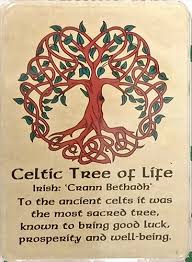 Check spelling or type a new query. Tree Of Life Gifts
