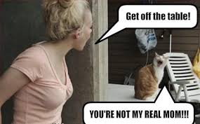 Classic Short Jokes Funny Funny Photos Real Mom