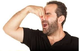 屁味儿浓是因为蛋白质吃得太多？_问题