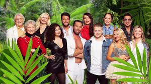 Staffel des dschungelcamps lief im januar 2020. Dschungelcamp 2019 Faq Checkt Rtl Die Kandidaten Vorher Durch