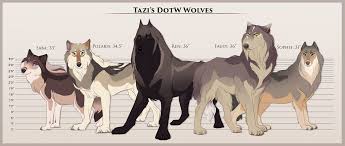 Are you looking for cartoon wolf design images templates psd or png vectors files? Tazihound Google Search Wolf Spirit Animal Cartoon Wolf Drawing Wolf Character