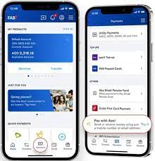 NBAD Balance Inquiry 2025: NBAD Bank Balance Check Salary Card
