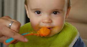 7 aylık bebek maması tarifleri set. 5 Menu Mpasi 7 Bulan Rasa Manis Dan Gurih Popmama Com