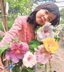 See more ideas about corak bunga, corak, bingkai. Pesona Bunga Raya Taiwan