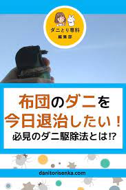 ダニに刺された と思ったら 布団のダニを寝るまでに退治するコツをご紹介 ダニ 駆除 布団 ダニ ダニ