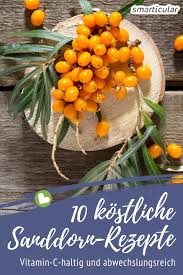 Pin Auf Wildkrauter Wildobst Wildpflanzen Und Baume