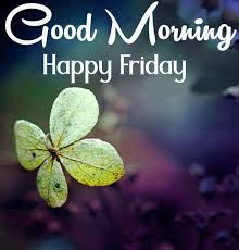 We did not find results for: 48 Good Morning Happy Friday Images Free Good Morning Images