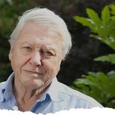 Stream Tom Chalkley music