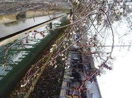 Последние твиты от 딸감 갤러리 (@gtm3xuujxxc8edh). èŠ±å°éŒ¢åŽ»æ—…è¡Œ æ«»èŠ±é–‹èŠ±äº† é«˜å±±å¸‚çš„æ±Ÿåå­å·æ—é‚Šæœ‰ä¸€æ£µæ«»èŠ±æ¨¹é–‹èŠ± Facebook