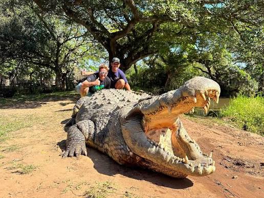 Happy World Croc Day for crocodile lovers