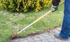 Which is the best edger? 7 Best Manual Lawn Edgers Of 2021 Homegearx