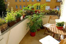 Begrunter Balkon Mit Krautern Und Blumen In Topfen Und Vasen Balkon Balcony Pflanzen Plants Bepflanzung Pflanzen Balkon