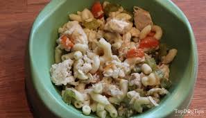 Home dog food recipes recipe: Best Homemade Dog Food Recipe With Chicken And Rice Top Dog Tips