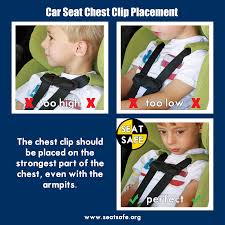 Educational Graphics Car Seat Safety Chest Clip Carseat Safety Newborn Care