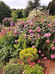 Epingle Sur Front Yard Landscaping Design