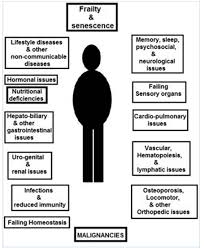 Rebooting Elderly Care The Way Forward For Geriatrics Geriatrics Geriatric Gerontology