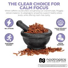 Image result for Polygala products