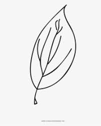 Please contact us if you think we are. Marijuana Leaf Coloring Page Hd Png Download Kindpng
