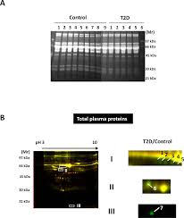 „ physical/chemical reactions to facilitate colorimetric. The Application Of Post Translational Modification Oriented Serum Proteomics To Assess Experimental Diabetes With Complications