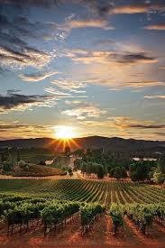 Napa Valley In California Save 90 Travel Over Expedia Savethousands Over Expedias Advertised Best Price Ht Places To Travel Beautiful Places Places To See