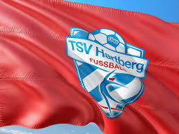 Tsv hartberg vs sv josko ried. Football International Austria Tipico Bundesliga Flag Tsv Hartberg Red Blue Healthcare And Medicine Text Pxfuel