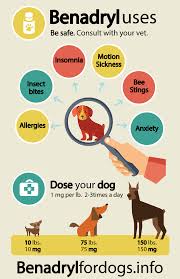 Benadryl Dosage For Dogs Dog Remedies Benadryl For Dogs Dosage