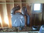 Ventillation double flux Belgie