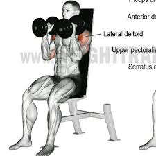 This is seated dumbbell front raise (neutral grip) by zac on vimeo, the home for high quality videos and the people who love them. Seated Neutral Grip Dumbbell Overhead Press Exercise How To Workout Trainer By Skimble