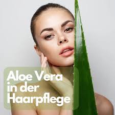 Aloe Vera i gcúram gruaige: