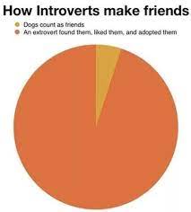Pin On Introverted