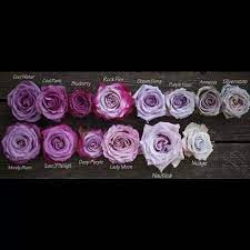 Purple Lavender Roses Colour Name Guide Knowyourflowers Purple Roses Lavender Roses Rose Varieties