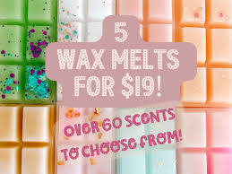 What Can I Put In My Wax Warmer To Make My House Smell Good? – Serathena