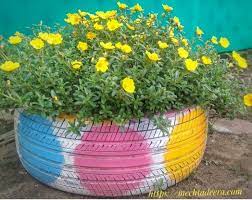 Tabulampot, solusi praktis dan ekonomis berkebun di lahan sempit. Mudahnya Bertanam Krokot Hias Lalang Ungu
