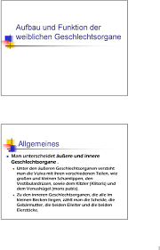 Die weiblichen wirbeltiere haben einen (paarigen) eileiter, der unabhängig vom nierensystem ist, den müller'schen gang. Aufbau Und Funktion Der Weiblichen Geschlechtsorgane Pdf Free Download
