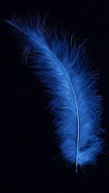 همسات الورد جمال اللون الازرق the beauty of the blue color screen savers wallpapers huawei wallpapers wallpaper