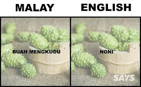 Yandex.translate is a mobile and web service that translates words, phrases, whole texts, and entire websites from english into latin. What S Pandan And Ciku In English We Dug Up Translations Of 16 Produce Malaysians Love