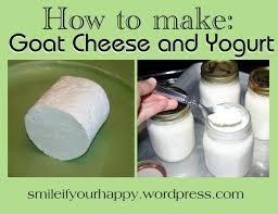 It can be made if it is soured first, churned, and a clarifying agent added. Camel Milk Shop
