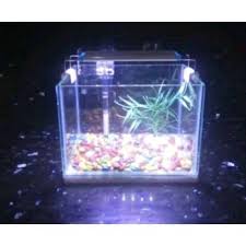 Free shipping on orders over $25 shipped by amazon. Jual Aquarium Mini Fullset Terbaru Juni 2021 Blibli