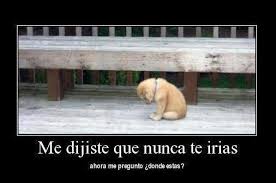 No me quiero ir a casa. Yo Tambien Eh Dicho Ya Me Quiero Ir A Mi Casa Estando En La Escuela S Home Facebook