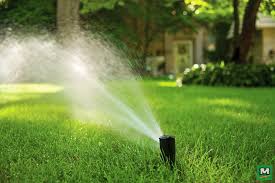 Help Your Lawn Stay Lush With Rain Bird 42sa Rotor