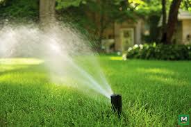 help your lawn stay lush with rain bird 42sa rotor