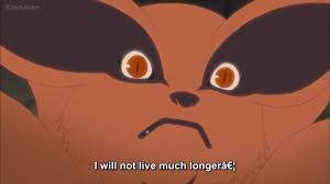 Episode 329 Baby Kurama Animation Anime