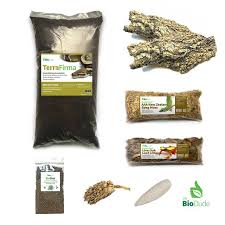 Check spelling or type a new query. Ornate Central American Wood Turtle Bioactive Kit The Bio Dude