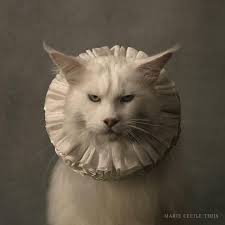 The new issue of L'insensé