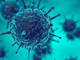 Rd.com knowledge facts you might think that this is a trick science trivia question. 15 Interesting And Unknown Facts About Viruses