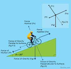 An Easy Guide To Understand Free Body Diagrams In Physics Science Struck Physics And Mathematics Physics Facts Physics Mechanics