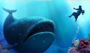 Image result for jONAH STORY IN THE BIBLE